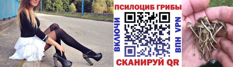 что такое   Бирск  Галлюциногенные грибы прущие грибы 